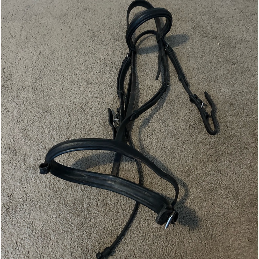 English Bridle